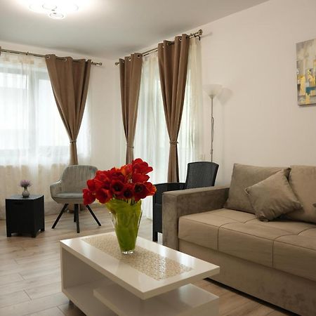 Brigitte Apartment Брашов Экстерьер фото