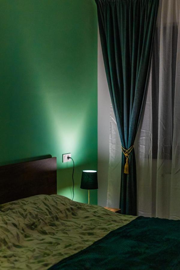 Brigitte Apartment Брашов Экстерьер фото