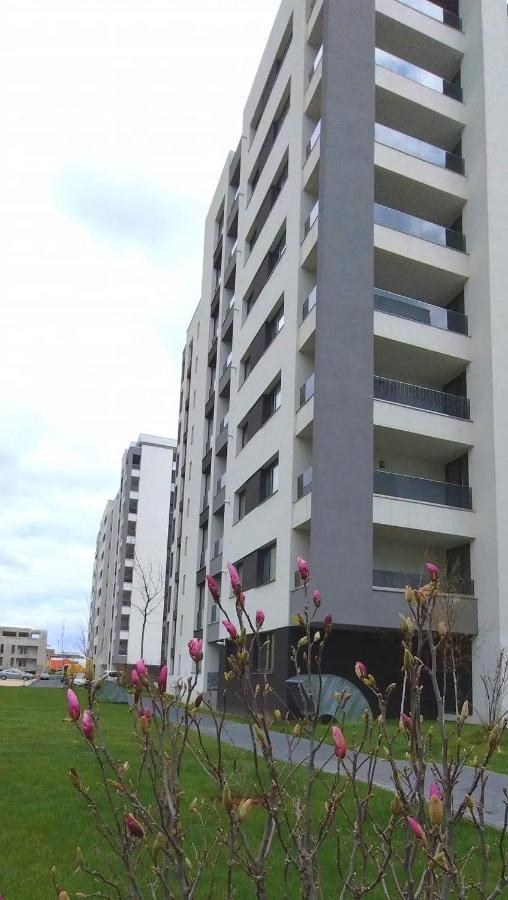 Brigitte Apartment Брашов Экстерьер фото