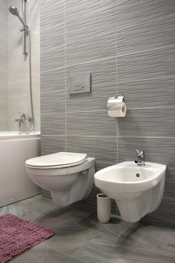 Brigitte Apartment Брашов Экстерьер фото