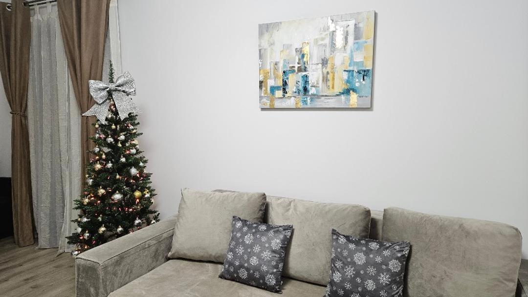 Brigitte Apartment Брашов Экстерьер фото