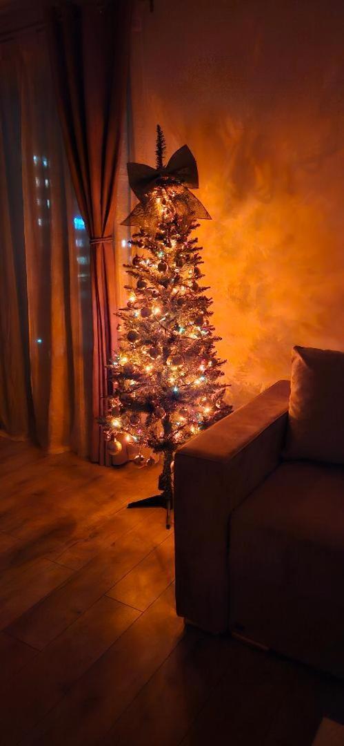 Brigitte Apartment Брашов Экстерьер фото